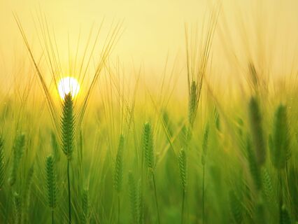 Meditatie ter verlichting van Angst of Onrust