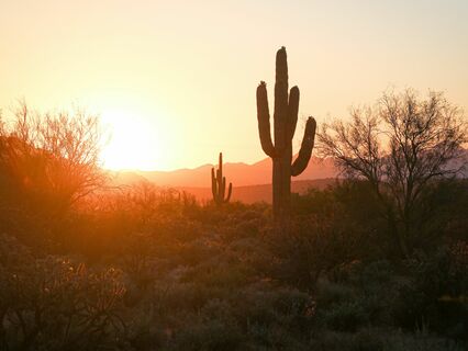 Brain Vacation- Desert Evening