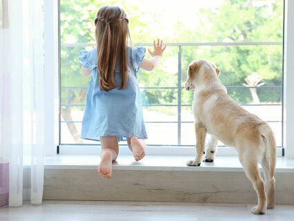 Mitgefühl: Liebevolle Güte für ein geliebtes Wesen