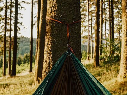 Brain Vacation - Hammock In The Park